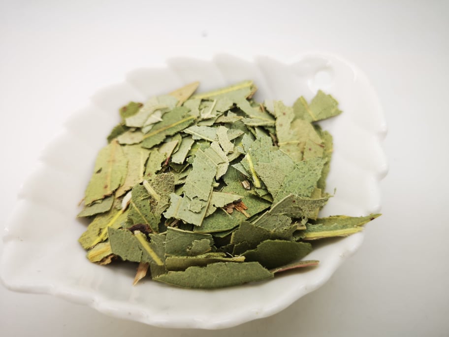 Eucalyptus - feuilles coupées – Thés Guru Teas